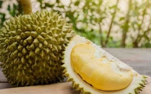 Viral Petani Durian Pasang Pocong dan Bakar Dupa Untuk Menakuti Pencuri