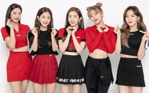 Red Velvet Sering Terima Pesan Pelecehan Seksual di Bubble, Langkah Tegas SM Dikritik