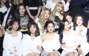 Jatah Kegiatan Individu Member BLACKPINK dan Red Velvet Disebut Sama Rata, Setuju?