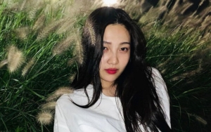 Komentar Joy Red Velvet Ketemu Bule Eropa Bikin Netizen Mikir Aneh-Aneh Soal Pria Korea