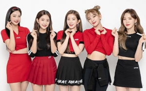 Dibilang Kurang Cantik, Logo Baru Fanclub Red Velvet Tuai Pro Kontra