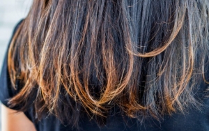 Dijamin Anti Ribet, 7 Tips Ini Bakal Bantu Kalian Atasi Rambut Bercabang Dan Kembali Sehat!