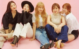 Layak Disebut Grup Papan Atas atau Tidak, Status Red Velvet Jadi Perdebatan