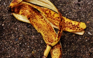 Kulit Pisang