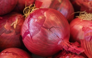 Kulit Bawang
