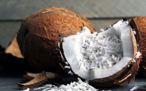 Ampas Kelapa