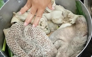 Ikuti 7 Tips Ini Untuk Mengolah Jeroan Hewan Kurban Agar Tidak Berbau, Dijamin Bebas Amis!