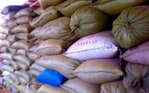 Pekerjanya 'Tumbang' Kena Corona, Lumbung Pangan Jatim Rekrut Pegawai Baru