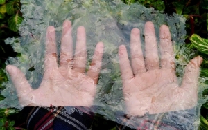 Greenpeace Tegaskan Bioplastik Bukan Solusi Masalah Sampah Plastik