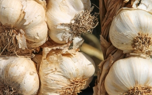 Bawang Putih