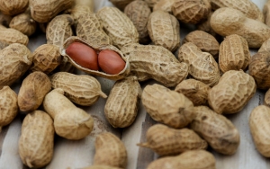 Kacang-Kacangan