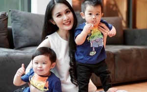 Keponakan Tampan Sandra Dewi Jago Ngemong Rafa-Mikha, Wajah Aegyo Mirip Siwon Curi Perhatian