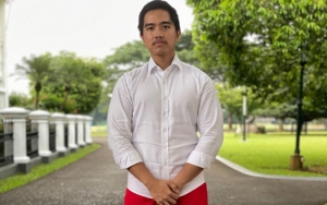 Kaesang Jadi Sasaran Penipuan, Reaksi Pelaku Usai Tahu Hampir Tipu Anak Jokowi Bikin Ngakak