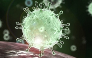 Ilmuwan Sebut Antibodi COVID-19 Meningkat dan Bisa Bertahan 4 Bulan Sejak Pasien Sembuh