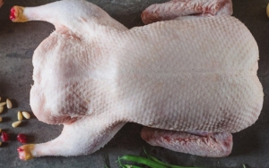 Pilih Bebek Muda dan Segar