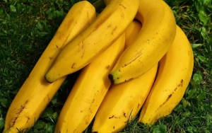 Pisang