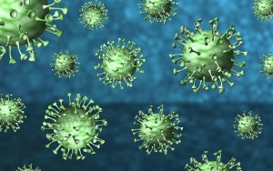BPPT Deteksi 14 Jenis Virus Corona di Indonesia