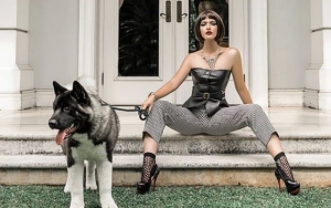 Momen Nia Ramadhani Biarkan Anjing Peliharaan Buang Kotoran di Dalam Rumah, Tuai Pembelaan?
