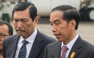 Heran Luhut Dipercaya Jokowi Tekan Corona, Komisi IX DPR: Seharusnya Kementerian Kesehatan