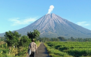 Tutup Setahun, Pendakian Gunung Semeru Kembali Dibuka Mulai 1 Oktober 2020