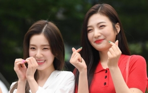 Irene atau Joy Red Velvet, Foto Cantik Ini Bikin Netizen Bingung