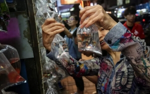 Jadi Peluang Menjanjikan di Tengah Pandemi, Ini 7 Kiat Sukses Memulai Bisnis Ikan Hias