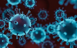 Satgas COVID-19 Peringatkan Orang Terdekat Berpotensi Tularkan Virus Corona
