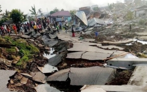 Nyaris Akurat, Makhluk Ini Bisa Jadi Pertanda Datangnya Gempa-Tsunami 