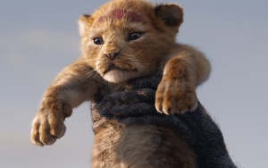 Sekuel 'The Lion King' Siap Digarap, Disney Gandeng Sutradara 'Moonlight'