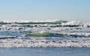 Fenomena Ikan Terdampar di Pantai Dikaitkan Tsunami, Ratusan Warga Pesisir Tulungagung Mengungsi