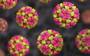 Pandemi COVID-19 Masih Menghantui, Muncul Wabah Norovirus di Tiongkok