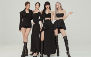 BLACKPINK Buktikan Mereka Selevel dengan Boy Grup Populer Lewat Angka Penjualan 'THE ALBUM'