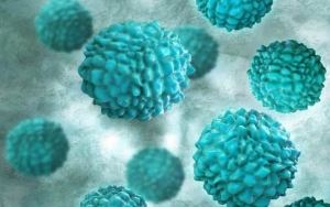 Ancaman Wabah Norovirus, Masyarakat Diminta Hati-hati Dengan Makanan Delivery