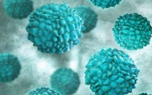 Tak Hanya Tiongkok, Norovirus Juga Mewabah di Indonesia