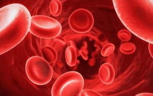 Mencegah Anemia