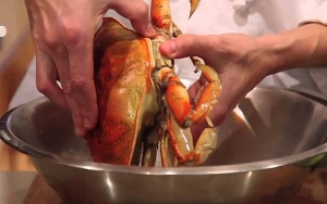 Bersihkan Kepiting