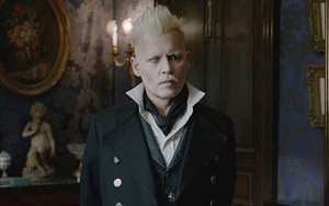 Warner Bros Minta Johnny Depp Keluar dari 'Fantastic Beasts' Usai Kalah Sidang dari Amber Heard