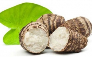 Cocok Untuk Diet Hingga Cegah Kanker, Talas Ternyata Simpan 7 Manfaat Ini Untuk Kesehatan!