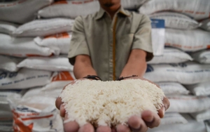 Stok Beras Aman Meski RI Resesi, Perum Bulog Justru Khawatirkan Hal Ini