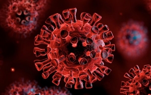 Wabah COVID-19 Belum Usai, Muncul Ancaman Baru Virus Flu H5N8 dari Burung Liar