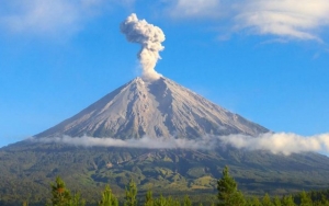 Merapi Keluarkan Guguran Lava Sejauh 700 Meter, Volume Magma Diperkirakan Melebihi 2006