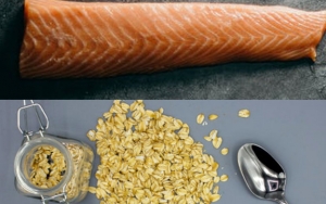 Puree Salmon dan Oat