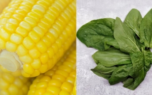 Puree Jagung Manis dan Bayam