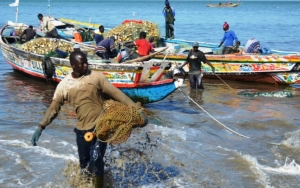 500 Lebih Nelayan di Senegal Terjangkit Penyakit Kulit Misterius Usai Melaut