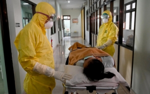 Pasien Meninggal Dan Selamat COVID-19 Alami Perbedaan Reaksi Antibodi, Ini Sebabnya 