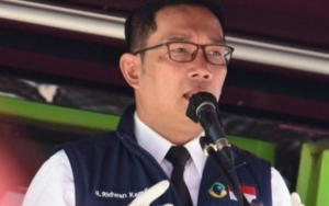Ridwan Kamil Tegur Bupati Bogor Soal Kerumunan Habib Rizieq di Megamendung