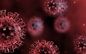 Jangan Khawatir! Studi Terbaru Sebut Mutasi Virus Corona Tak Tingkatkan Penularan