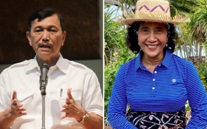 Menko Luhut Ngotot Dukung Ekspor Benih Lobster, Reaksi 'Gemas' Susi Pudjiastuti Jadi Sorotan