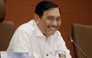 Muncul Desakan Untuk Luhut Hentikan Eskpor Benih Lobster Secara Total