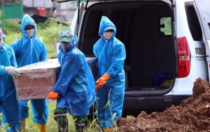 IDI Laporkan 180 Dokter Meninggal Akibat COVID-19, Paling Banyak Dari Jatim